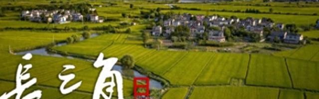 华体会登入-“苏超”赛场“气晕”的小恐龙有IP文创了